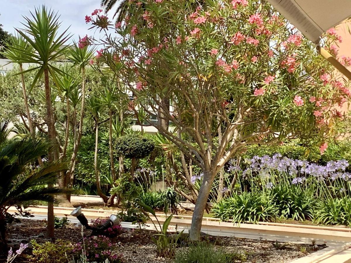 Hotel Diana Vence Kültér fotó