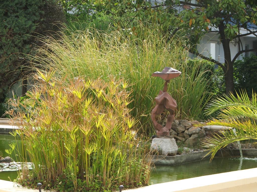 Hotel Diana Vence Kültér fotó